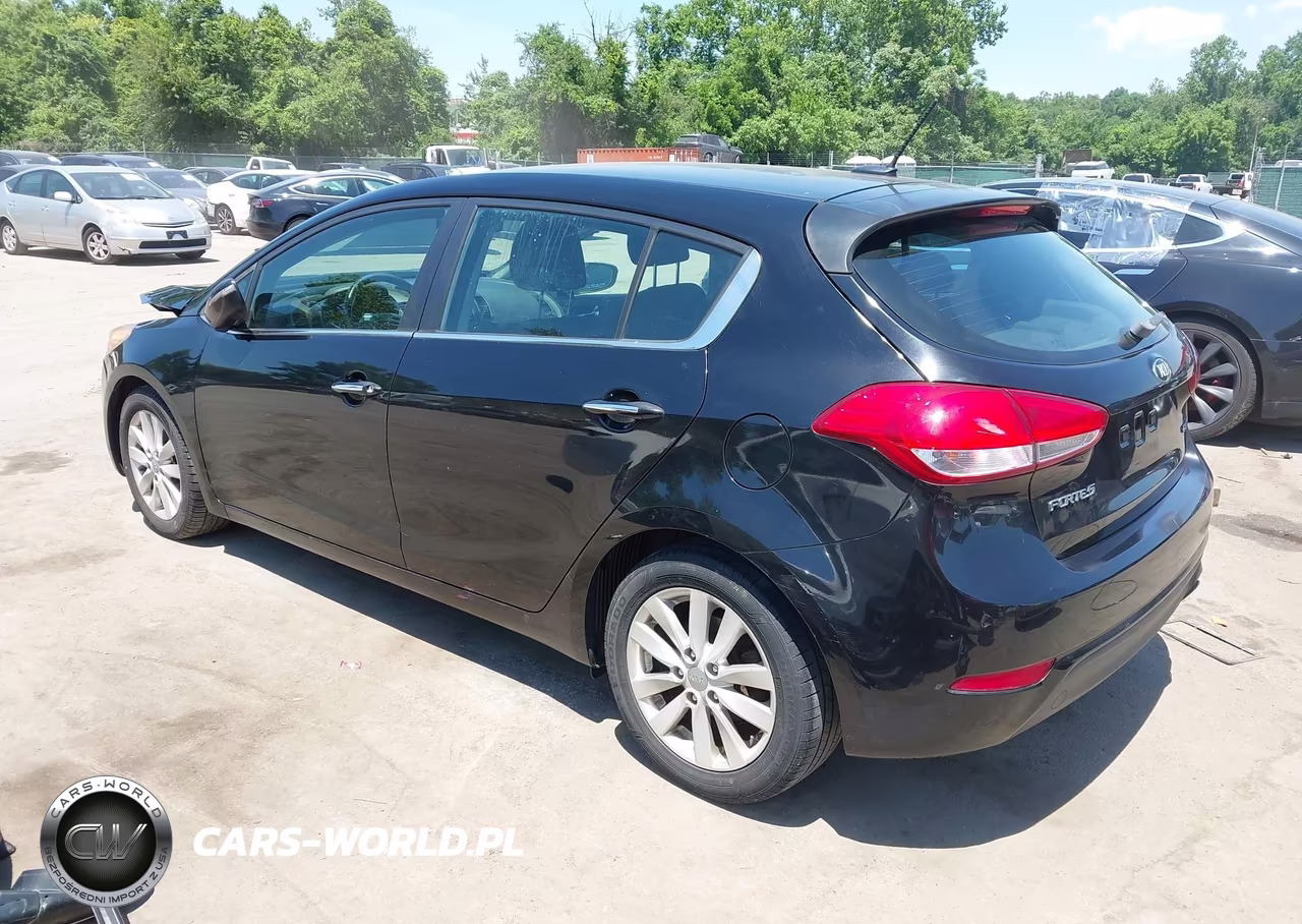 2015 Kia Forte Ex VIN:KNAFX5A82F5372309 - 3