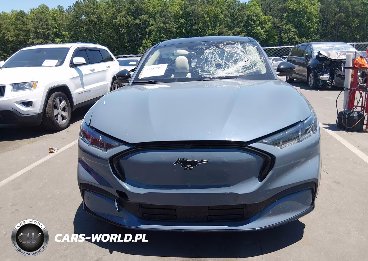 2024 Ford Mustang Mach-E Premium VIN:3FMTK3R70RMA51643 - 12