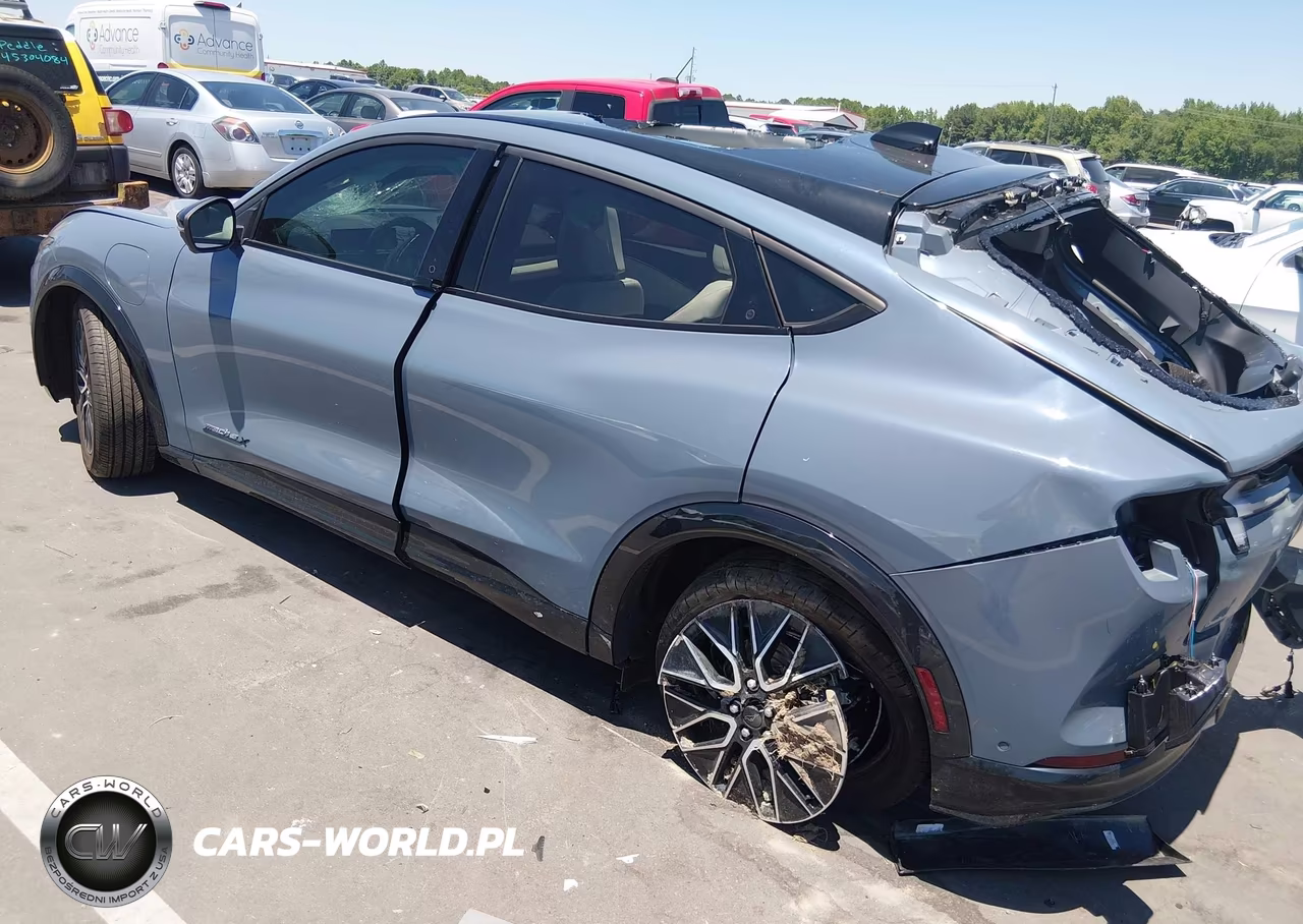 2024 Ford Mustang Mach-E Premium VIN:3FMTK3R70RMA51643 - 3