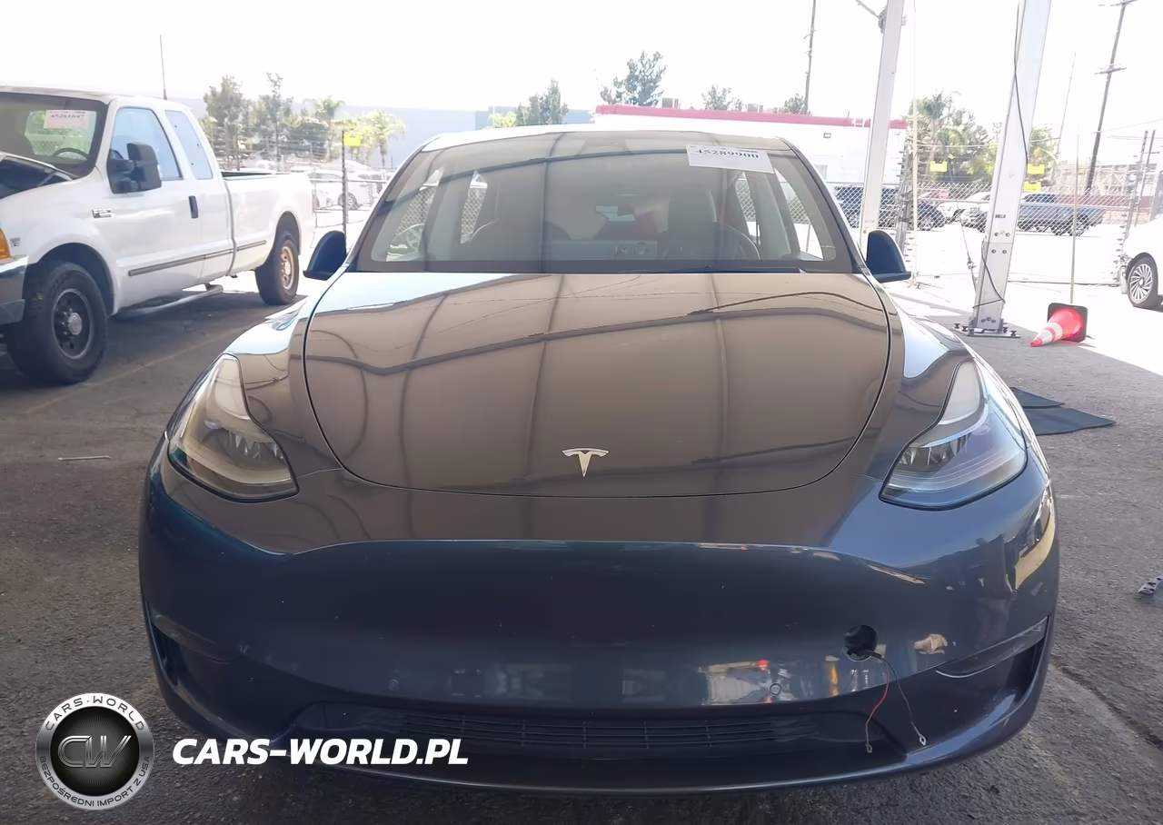2021 Tesla Model Y Long Range Dual Motor All-Wheel Drive VIN:5YJYGDEE4MF182397 - 10
