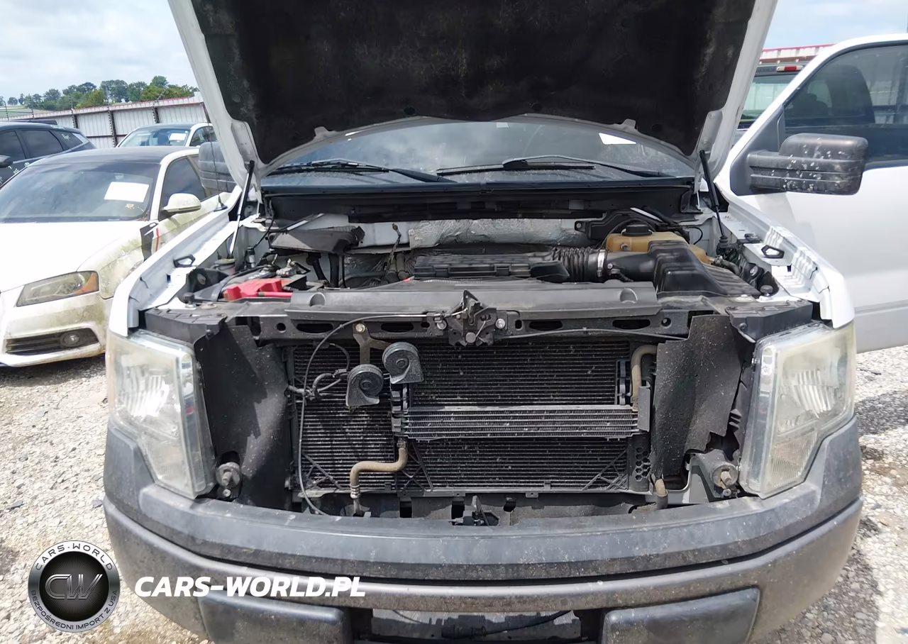 2011 Ford F-150 Xl VIN:1FTFW1EF6BFC16091 - 10