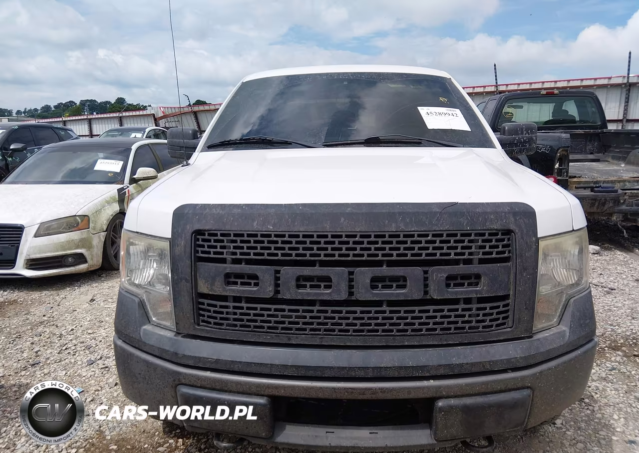 2011 Ford F-150 Xl VIN:1FTFW1EF6BFC16091 - 12
