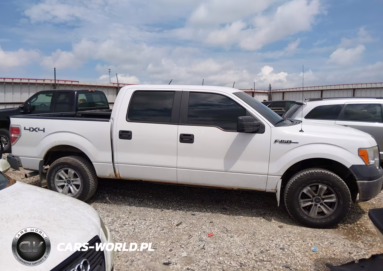 2011 Ford F-150 Xl VIN:1FTFW1EF6BFC16091 - 13