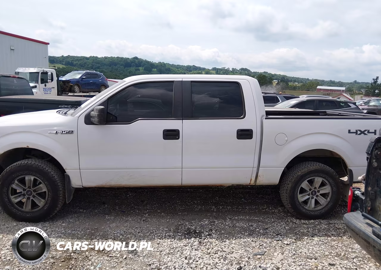 2011 Ford F-150 Xl VIN:1FTFW1EF6BFC16091 - 14
