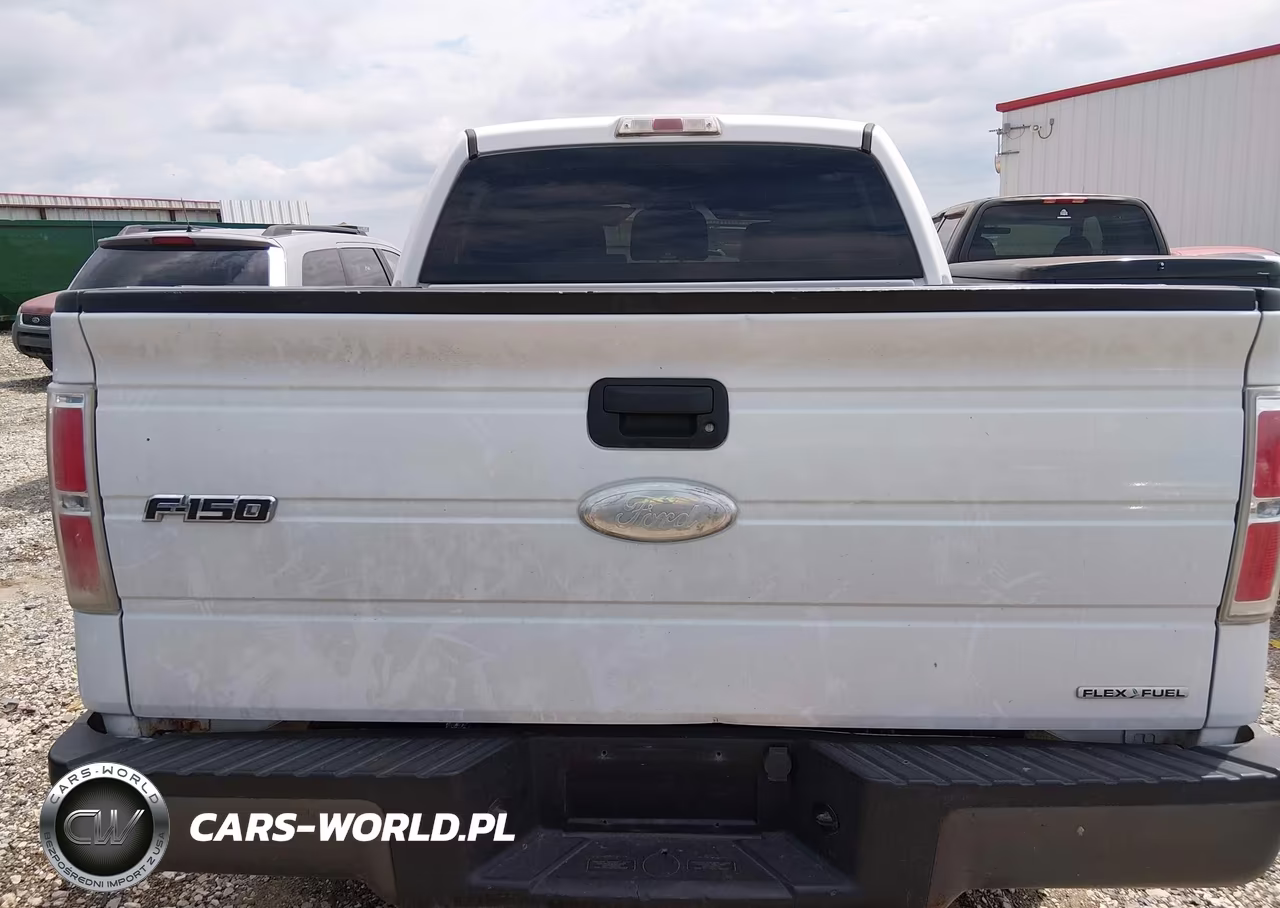 2011 Ford F-150 Xl VIN:1FTFW1EF6BFC16091 - 16