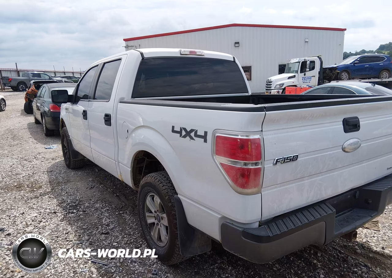 2011 Ford F-150 Xl VIN:1FTFW1EF6BFC16091 - 3