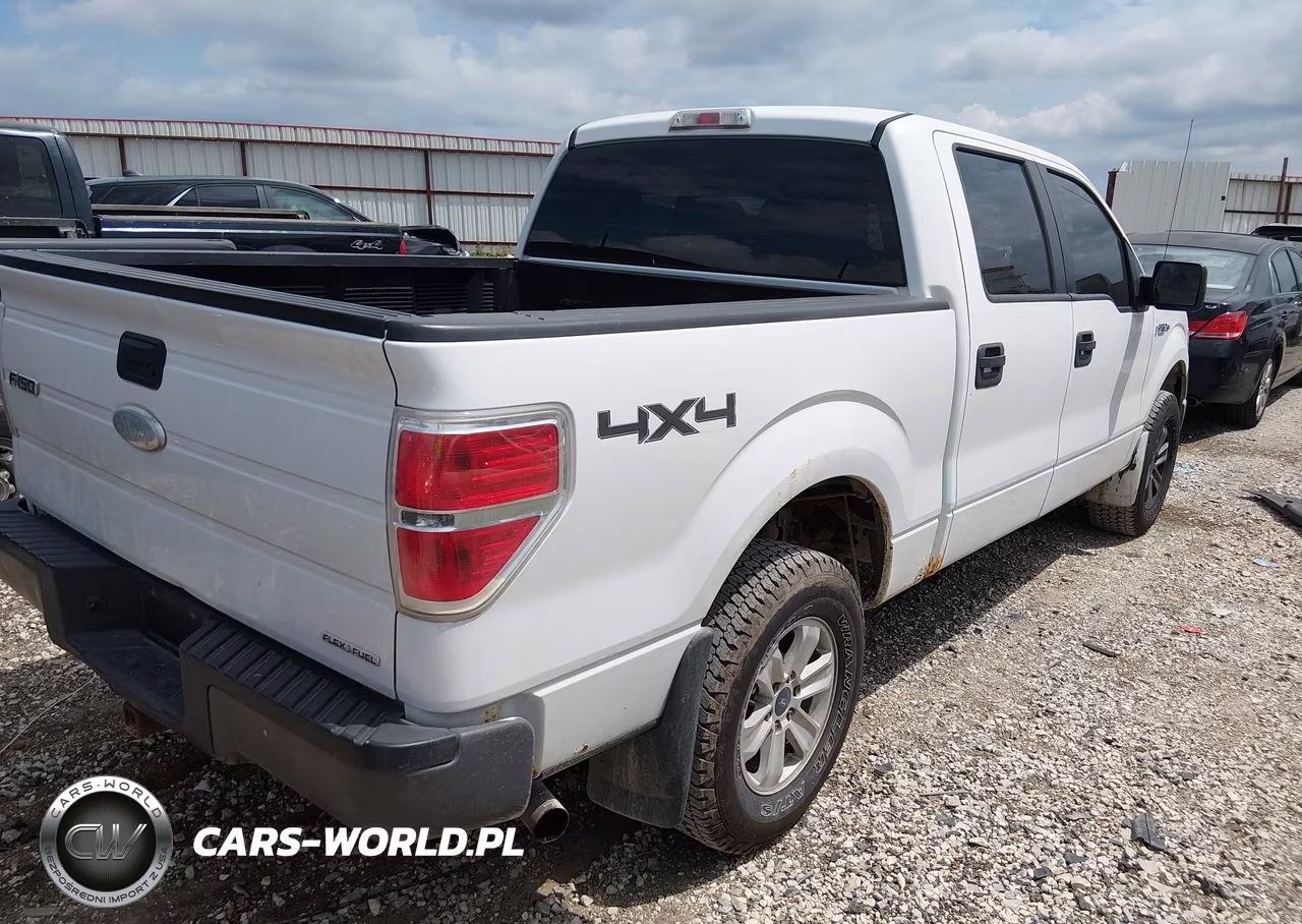 2011 Ford F-150 Xl VIN:1FTFW1EF6BFC16091 - 4