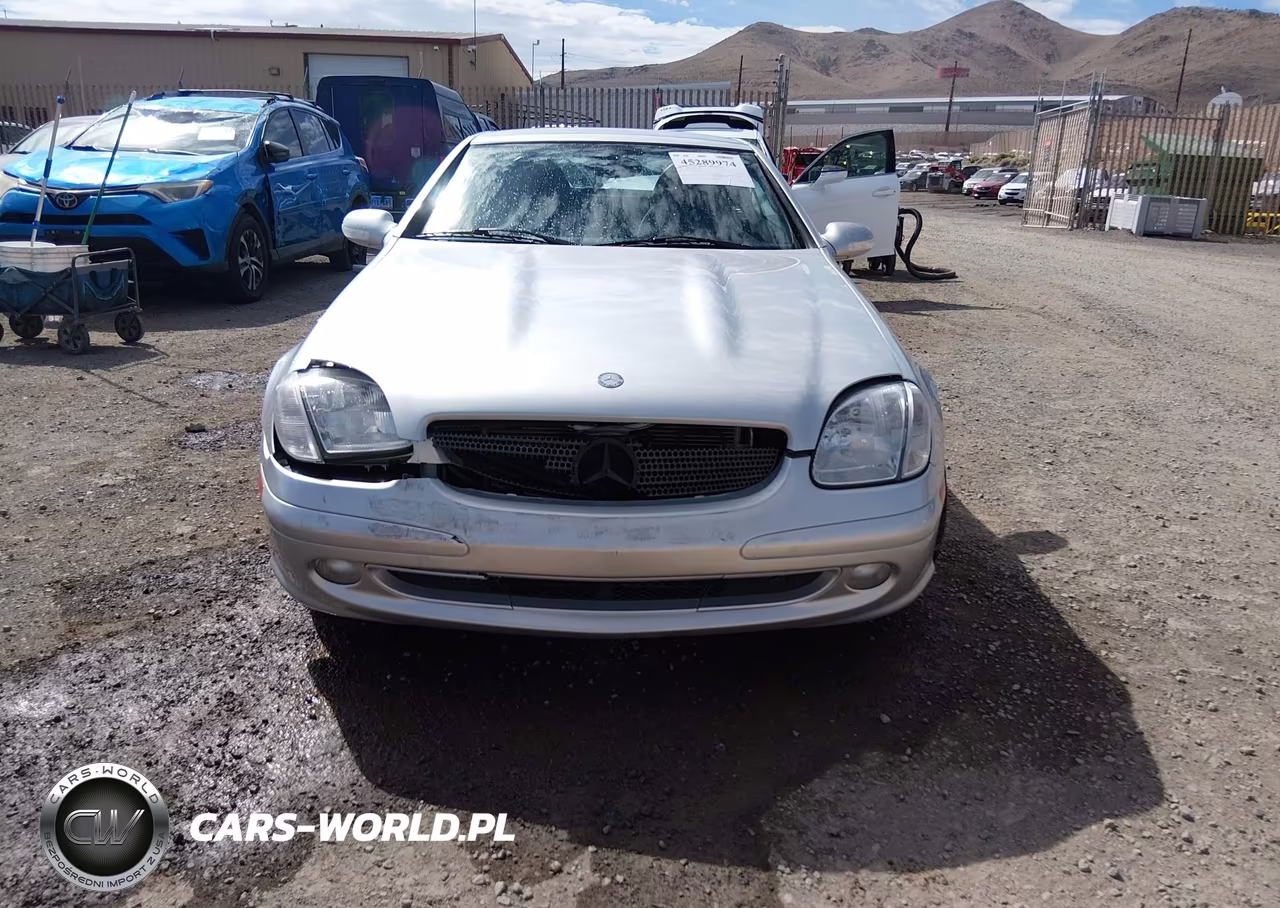 2002 Mercedes-Benz Slk 230 Kompressor VIN:WDBKK49F32F260649 - 12