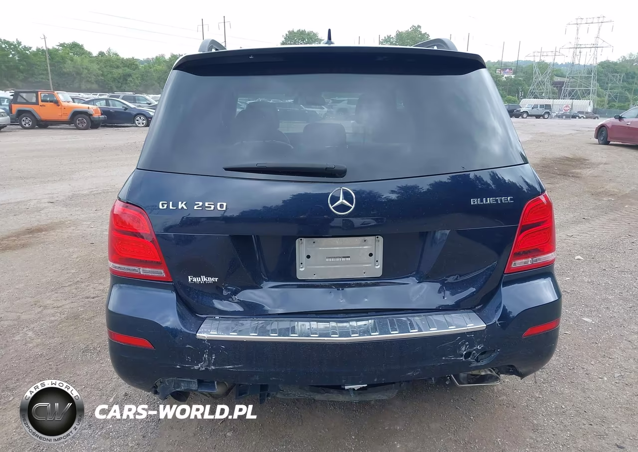 2015 Mercedes-Benz Glk 250 Bluetec 4Matic VIN:WDCGG0EB1FG362739 - 17