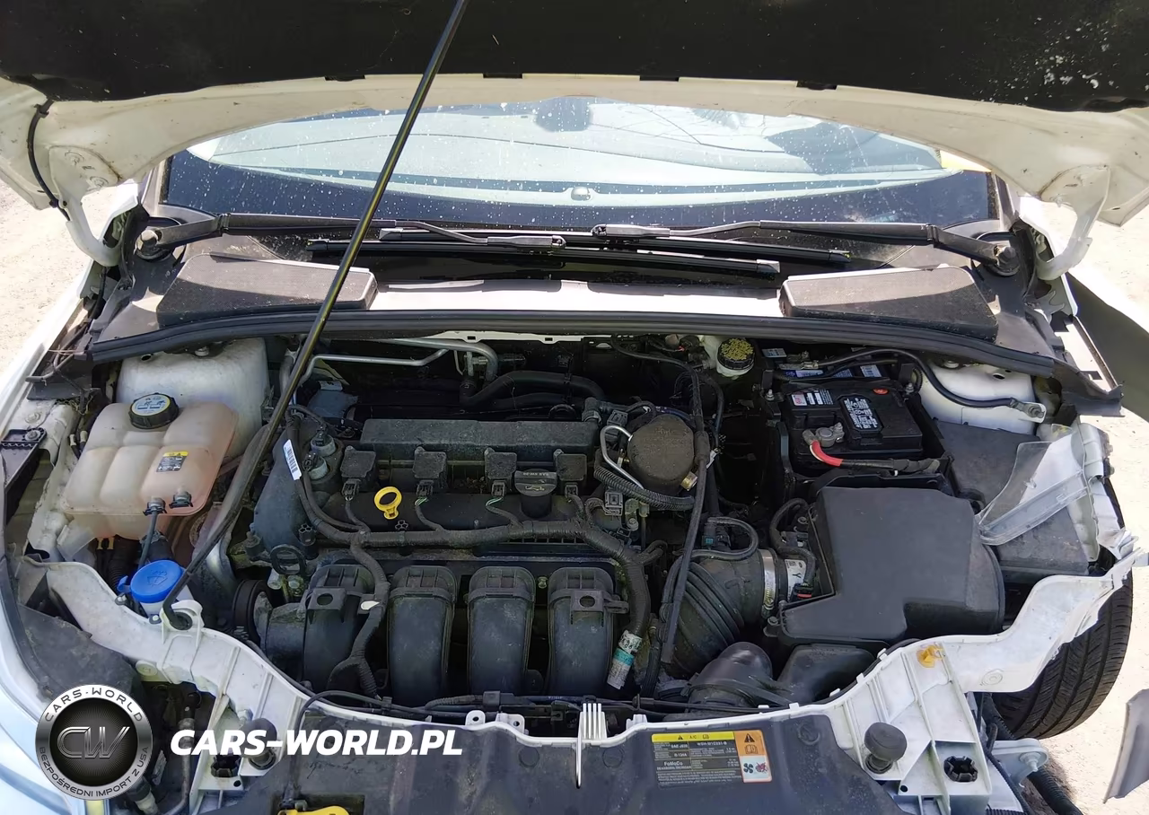 2012 Ford Focus Sel VIN:1FAHP3M20CL271645 - 10