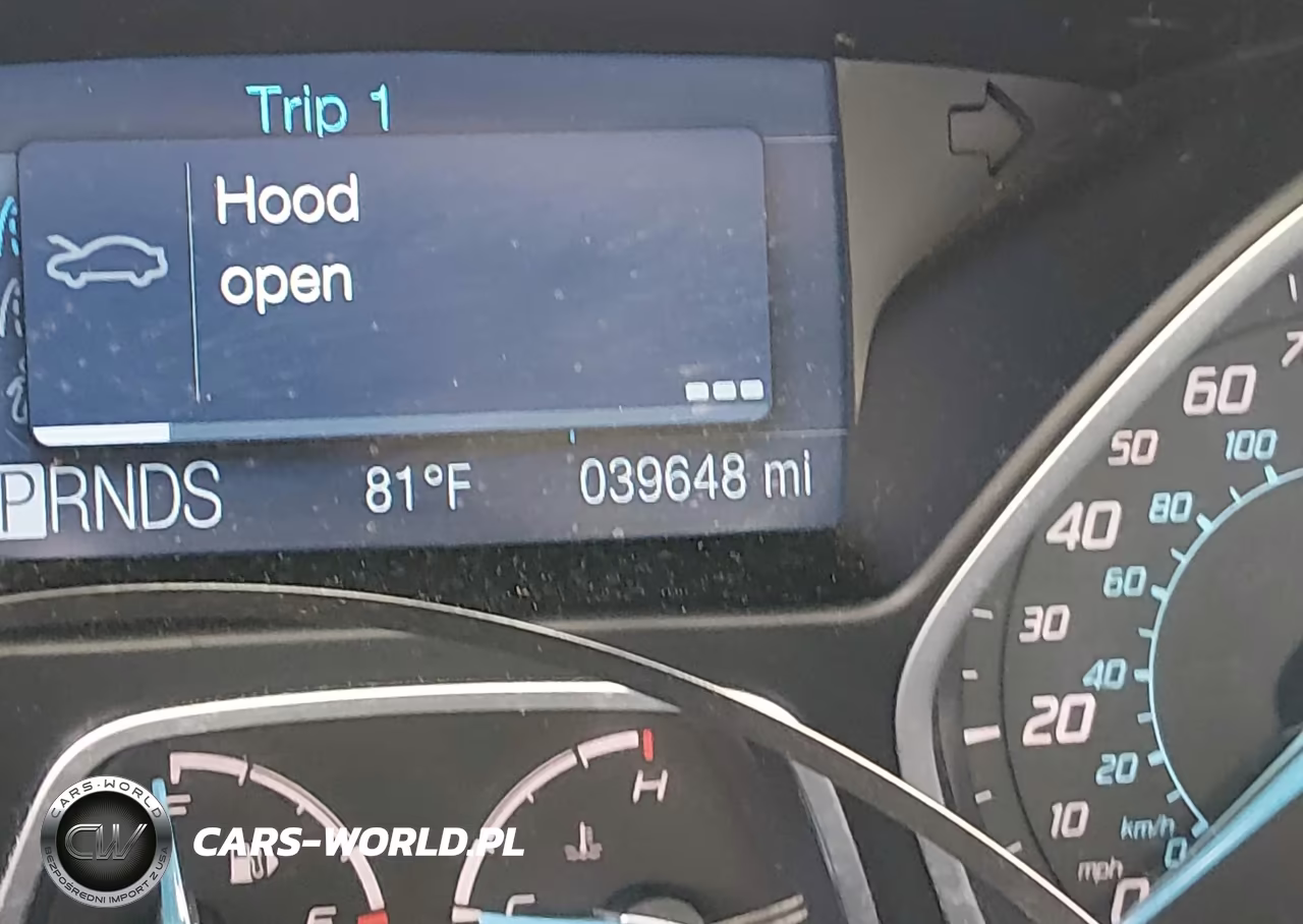 2012 Ford Focus Sel VIN:1FAHP3M20CL271645 - 16
