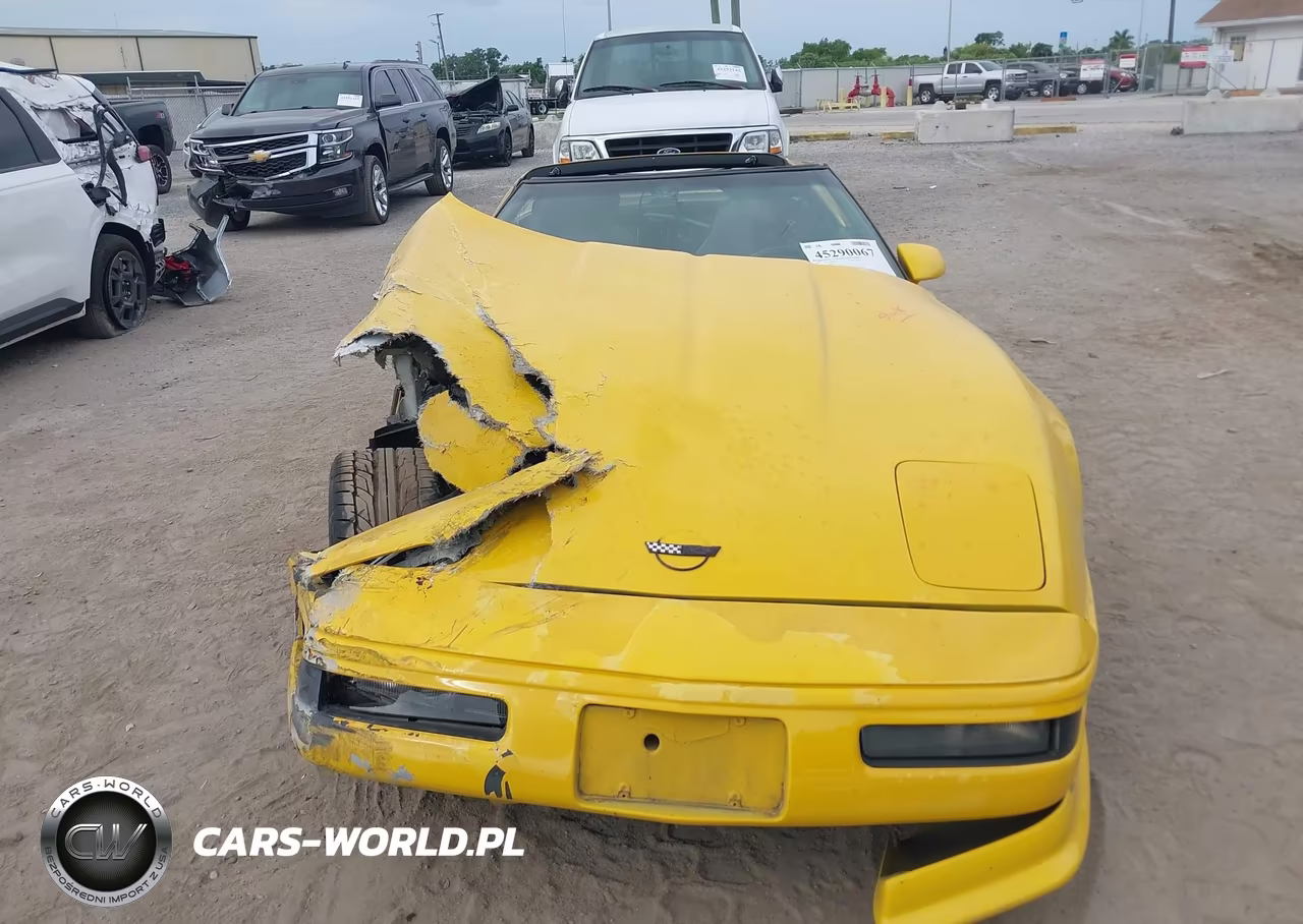 1995 Chevrolet Corvette VIN:1G1YY22P2S5104795 - 12