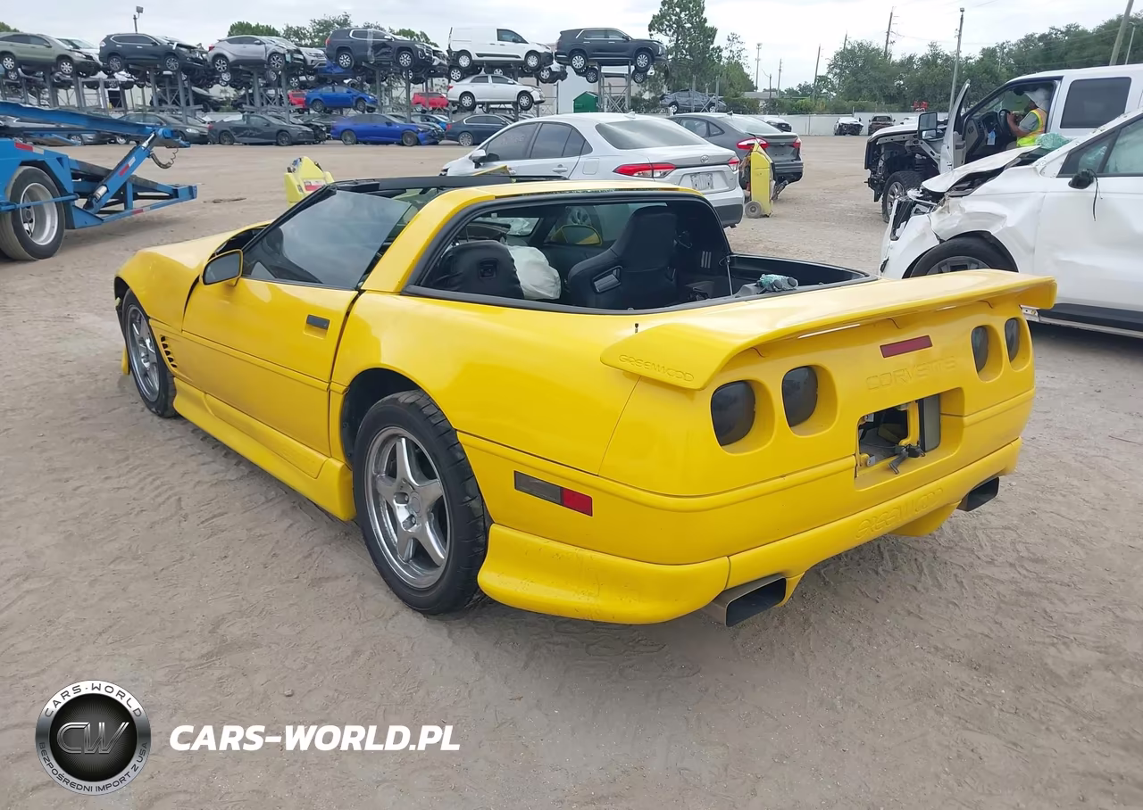 1995 Chevrolet Corvette VIN:1G1YY22P2S5104795 - 3