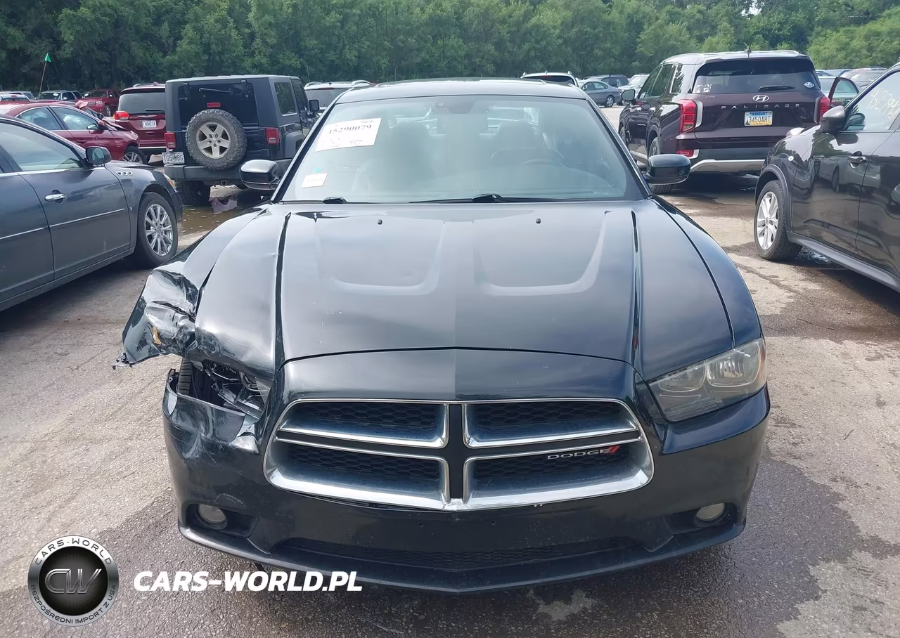 2012 Dodge Charger Sxt VIN:2C3CDXHG7CH272173 - 12