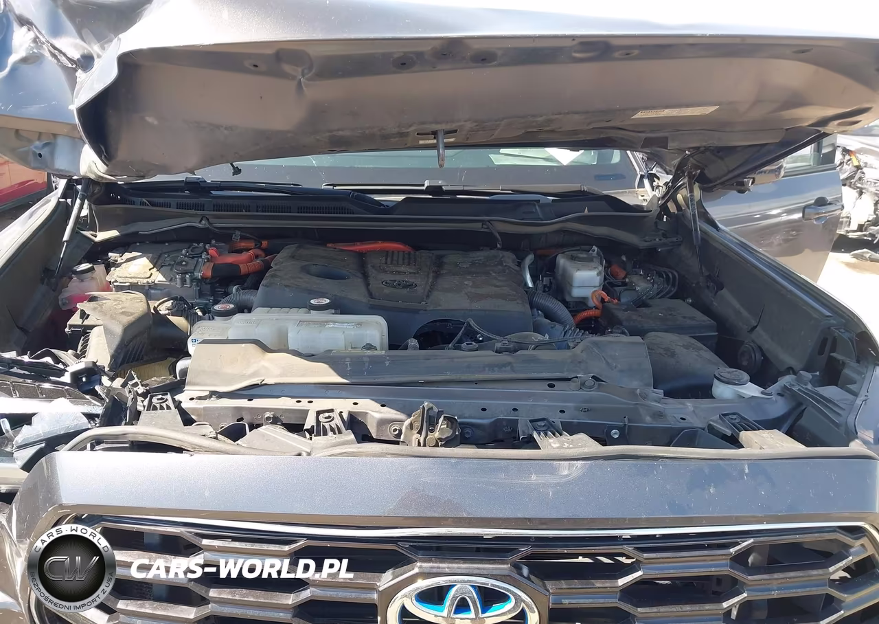 2023 Toyota Sequoia Platinum VIN:7SVAAABA9PX013561 - 10