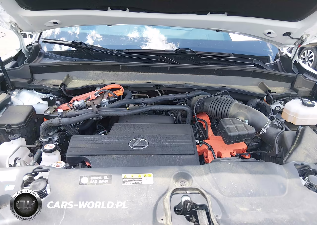 2024 Lexus Tx 550H+ Luxury VIN:5TDACAC63RS000571 - 10