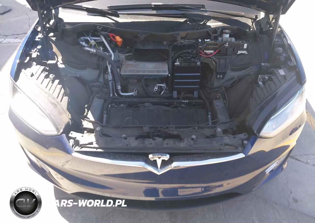 2018 Tesla Model X 100D-75D-P100D VIN:5YJXCBE21JF128634 - 10