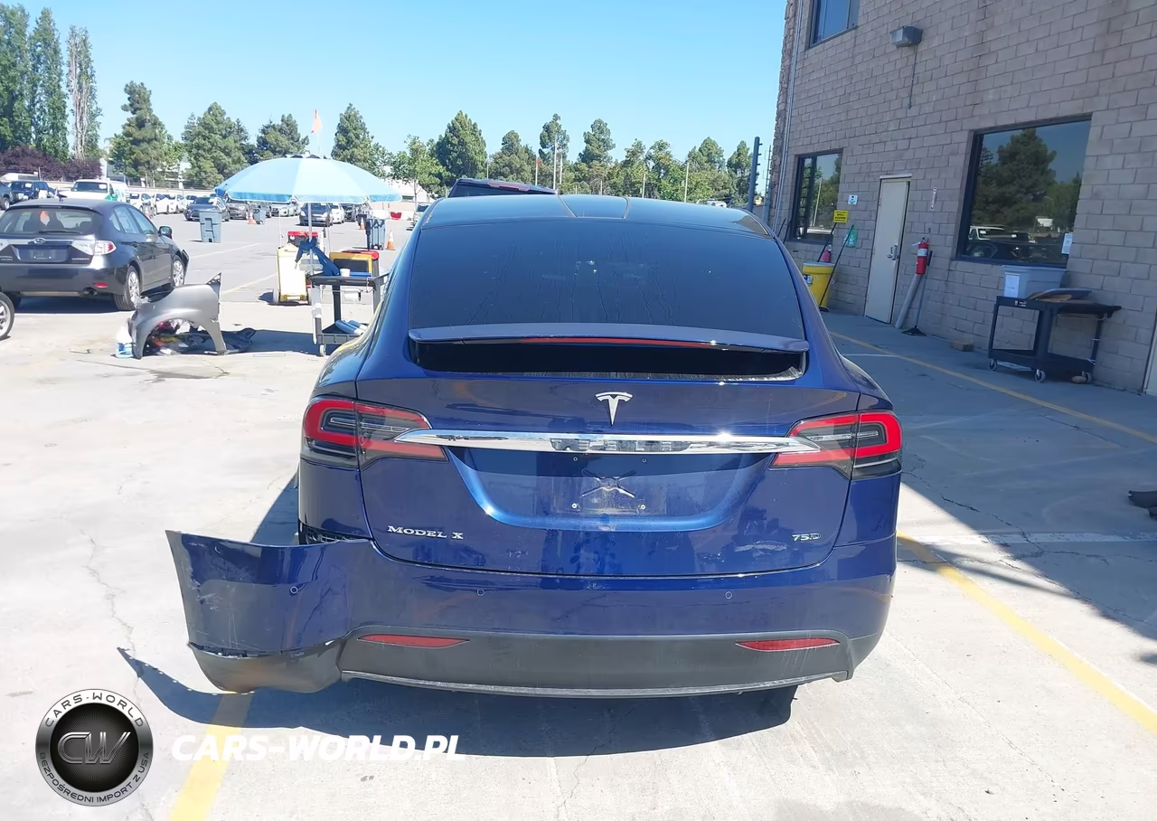 2018 Tesla Model X 100D-75D-P100D VIN:5YJXCBE21JF128634 - 17