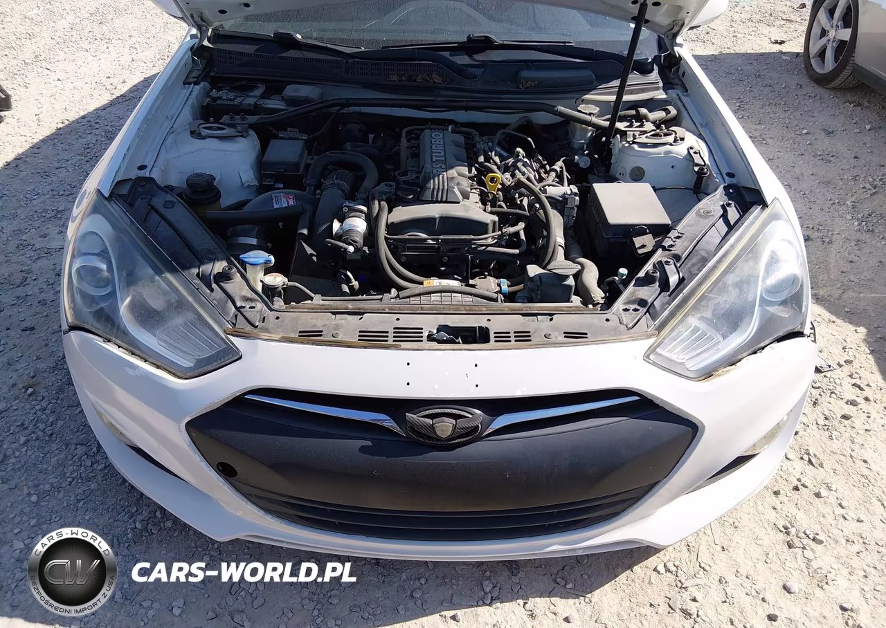 2013 Hyundai Genesis 2.0T VIN:KMHHT6KD9DU107524 - 10