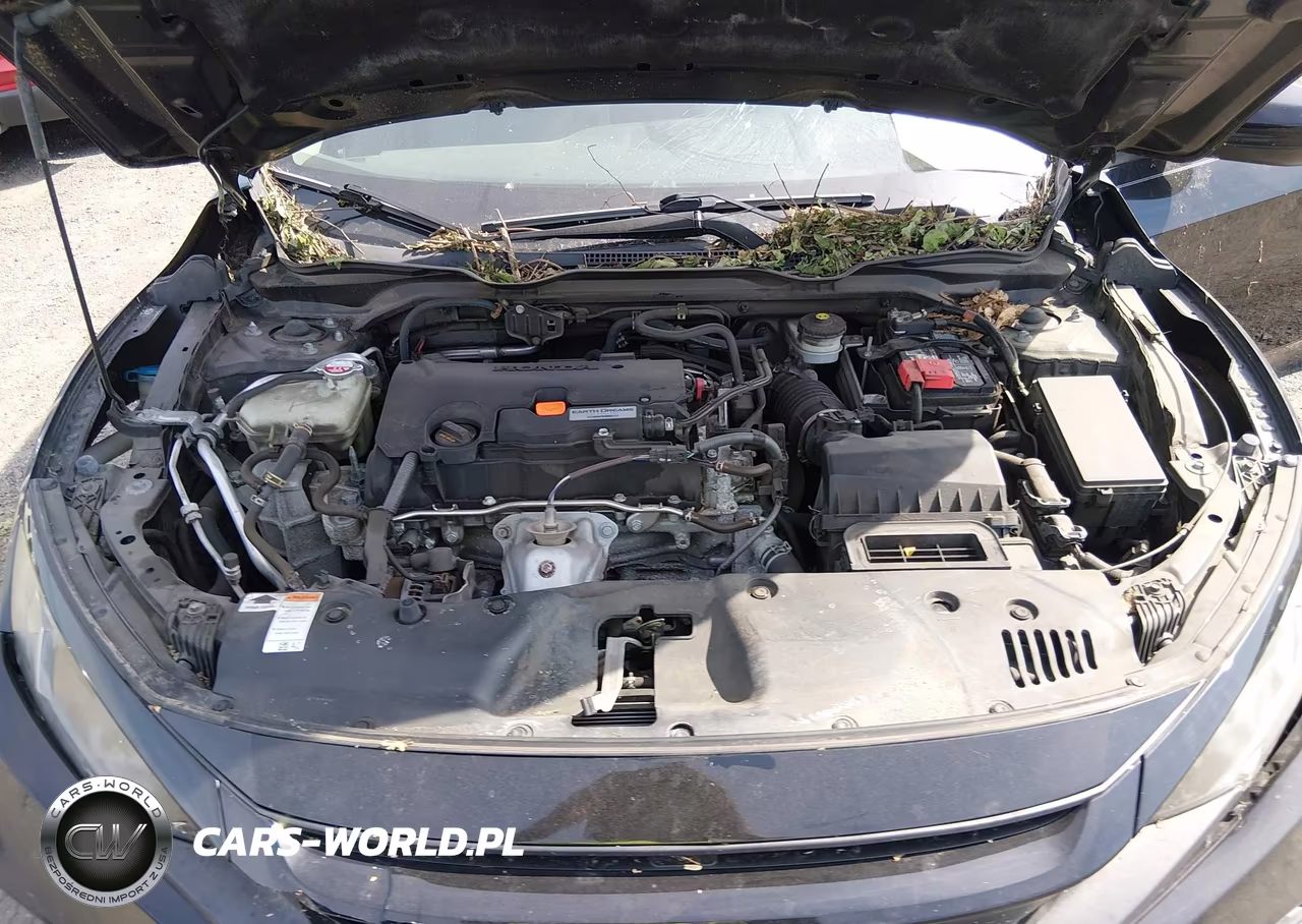 2019 Honda Civic Lx VIN:2HGFC2F68KH563774 - 10