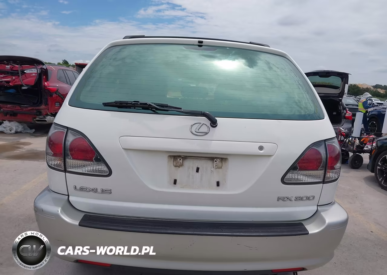 2001 Lexus Rx 300 VIN:JTJGF10U710117336 - 16