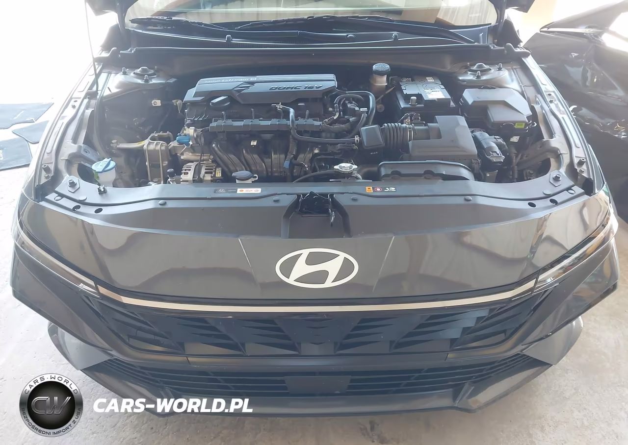 2025 Hyundai Elantra Sel Convenience VIN:KMHLS4DG4SU003030 - 10