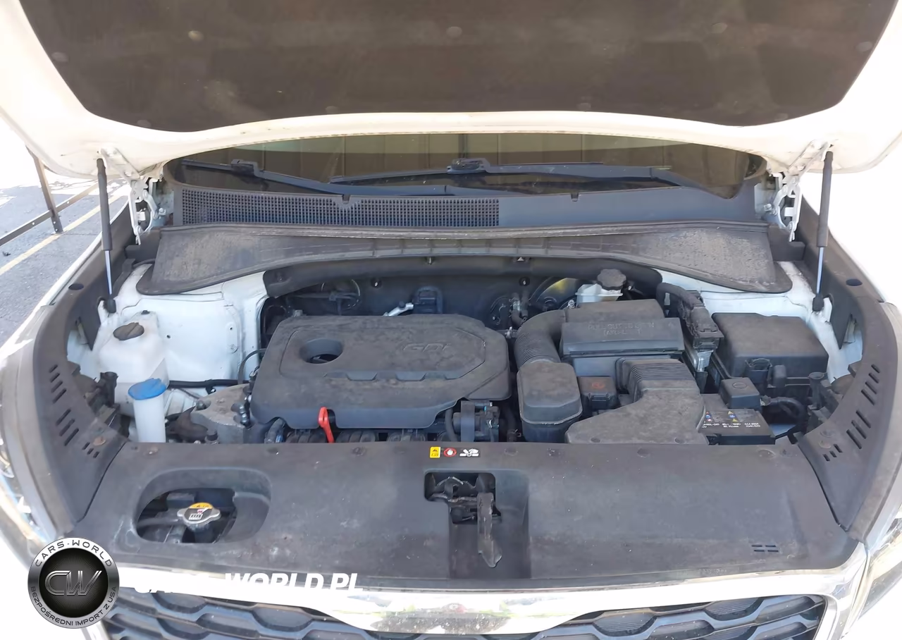 2019 Kia Sorento 2.4L Lx VIN:5XYPGDA3XKG462539 - 10