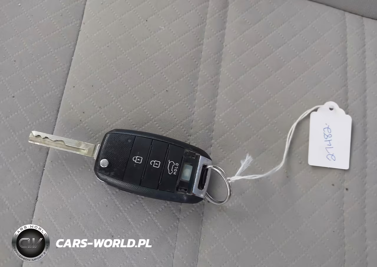 2019 Kia Sorento 2.4L Lx VIN:5XYPGDA3XKG462539 - 11