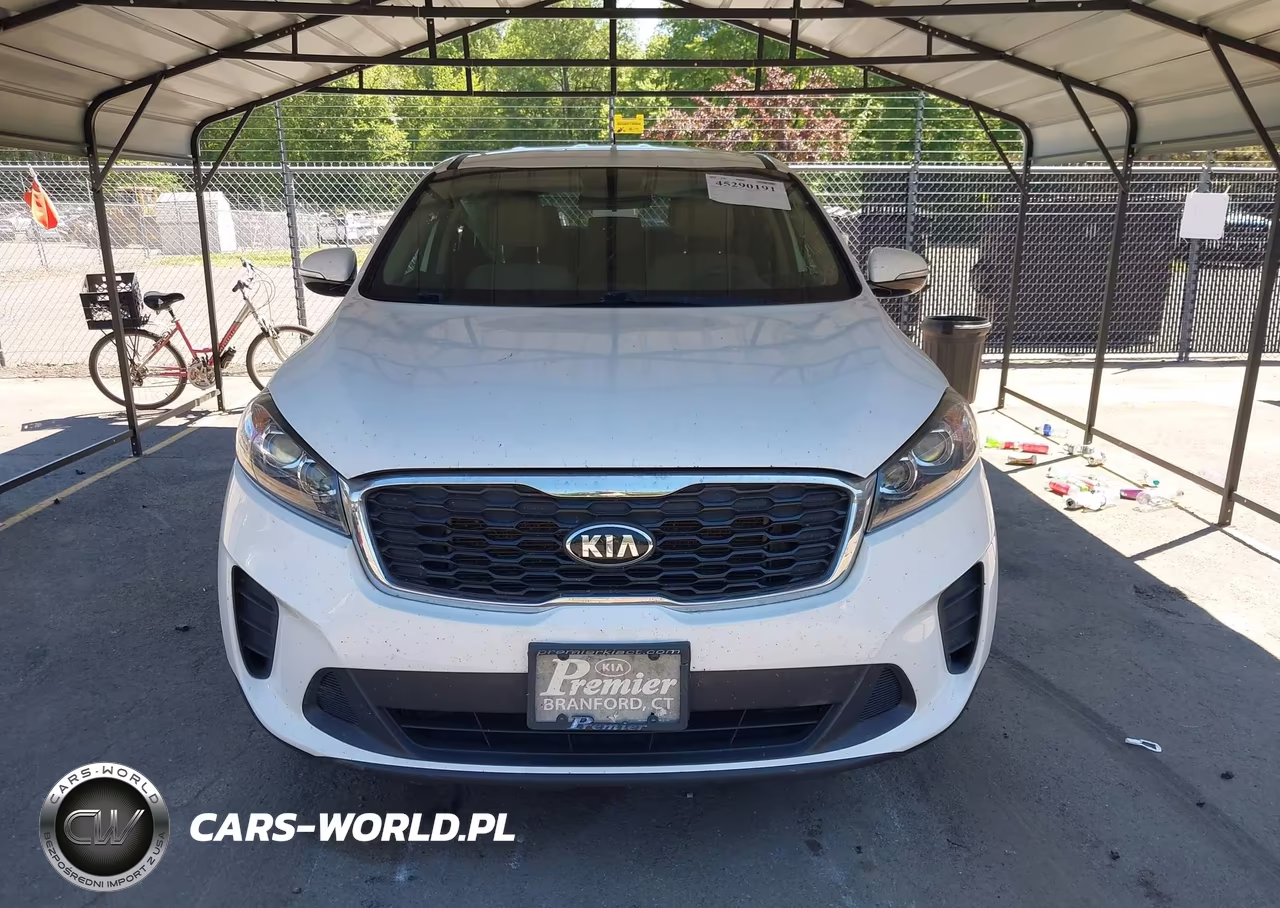 2019 Kia Sorento 2.4L Lx VIN:5XYPGDA3XKG462539 - 13