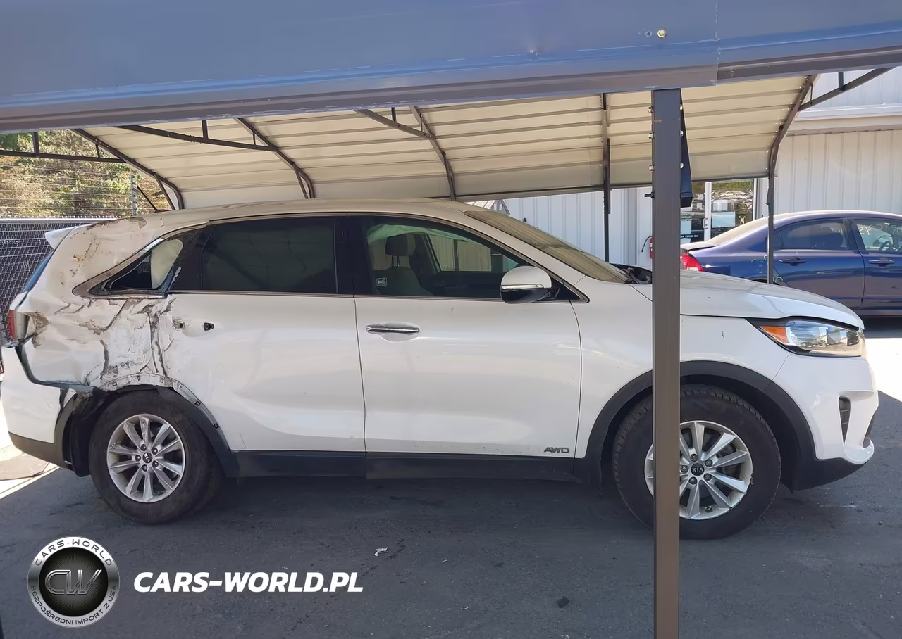 2019 Kia Sorento 2.4L Lx VIN:5XYPGDA3XKG462539 - 14