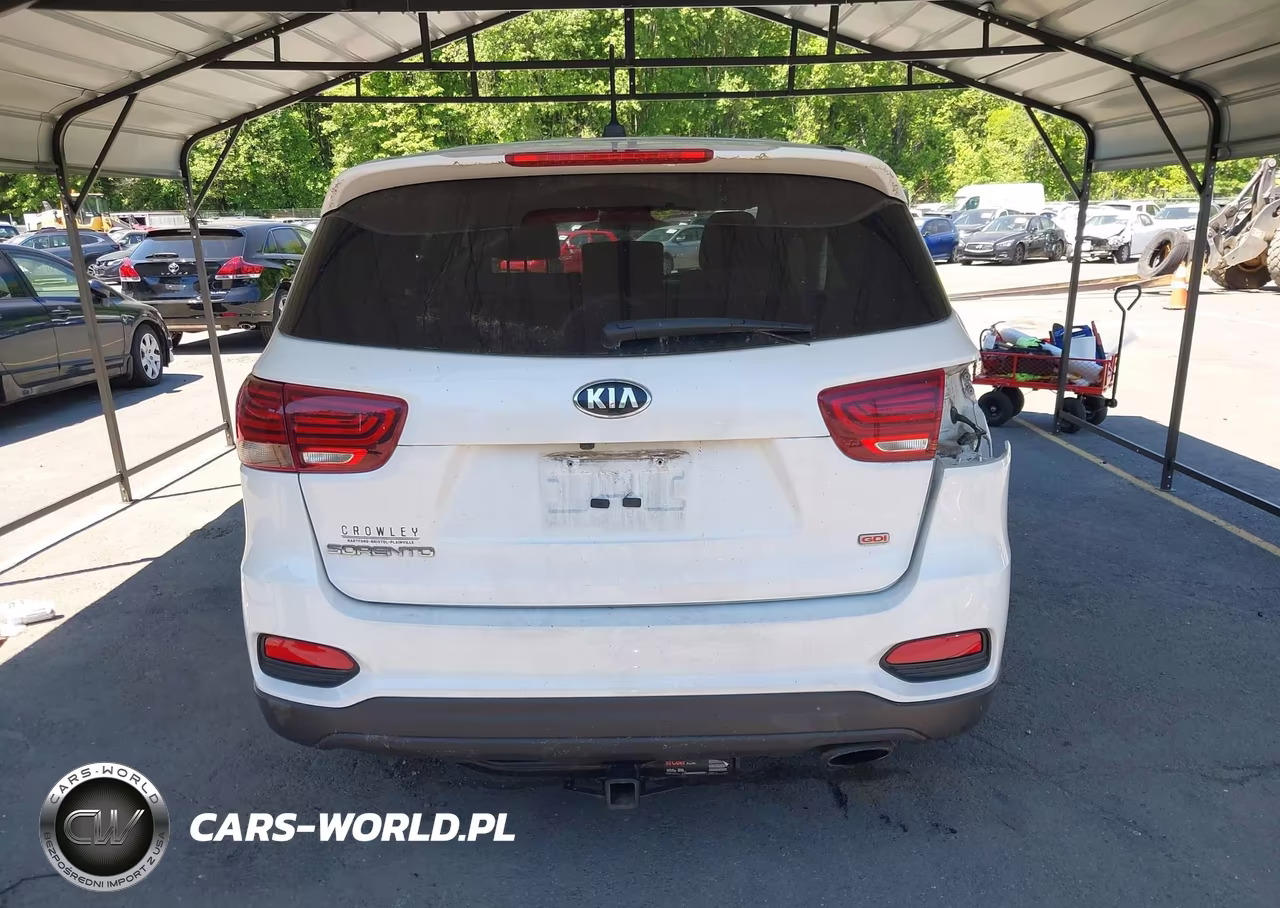 2019 Kia Sorento 2.4L Lx VIN:5XYPGDA3XKG462539 - 17