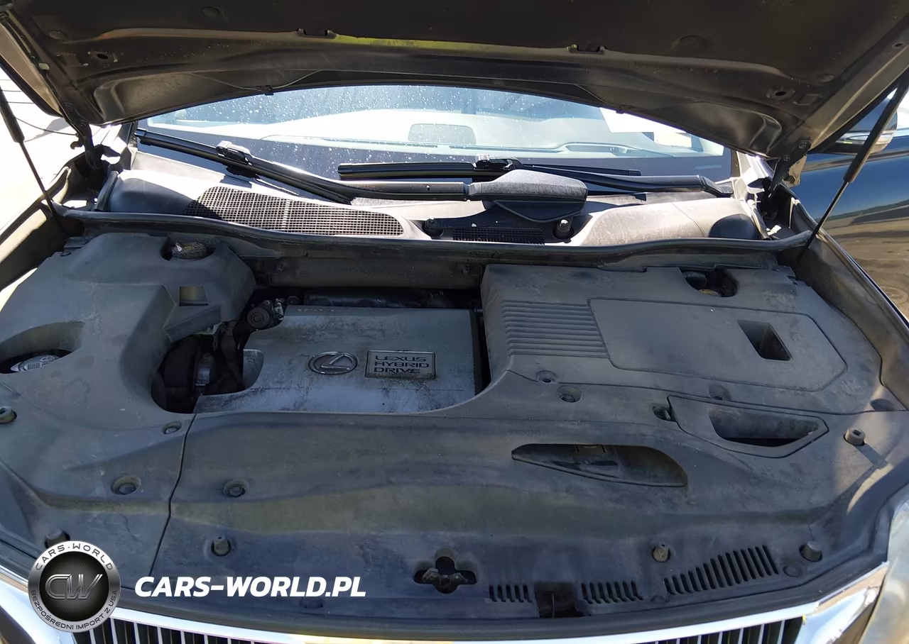 2010 Lexus Rx 450H VIN:JTJBC1BA5A2023403 - 10