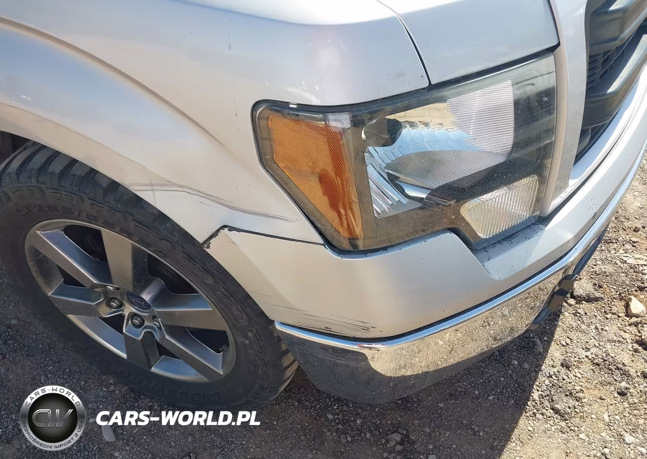 2010 Ford F-150 Stx-Xl-Xlt VIN:1FTMF1CW1AKB86031 - 12