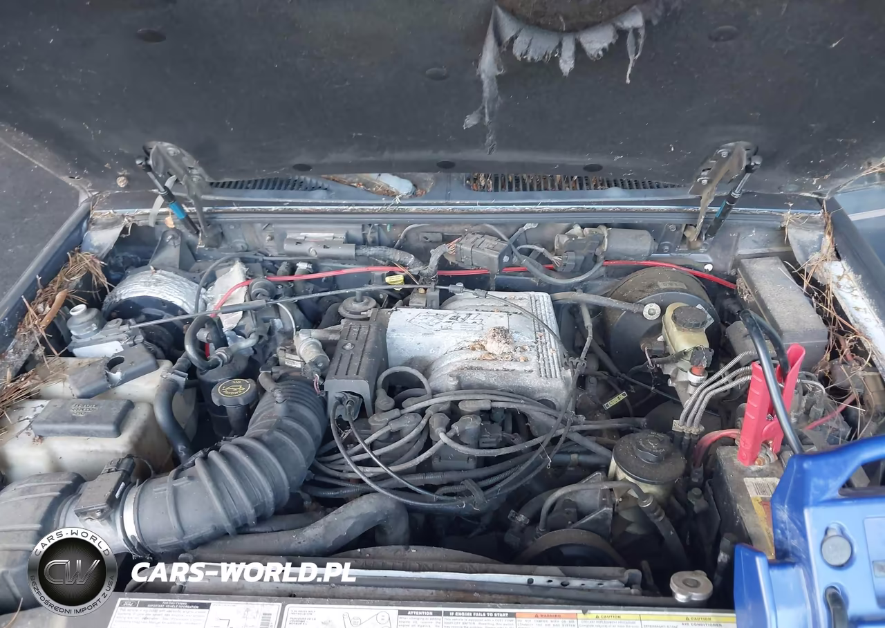 1998 Ford Explorer Eddie Bauer-Limited-Xlt VIN:1FMZU32P0WZA13483 - 10