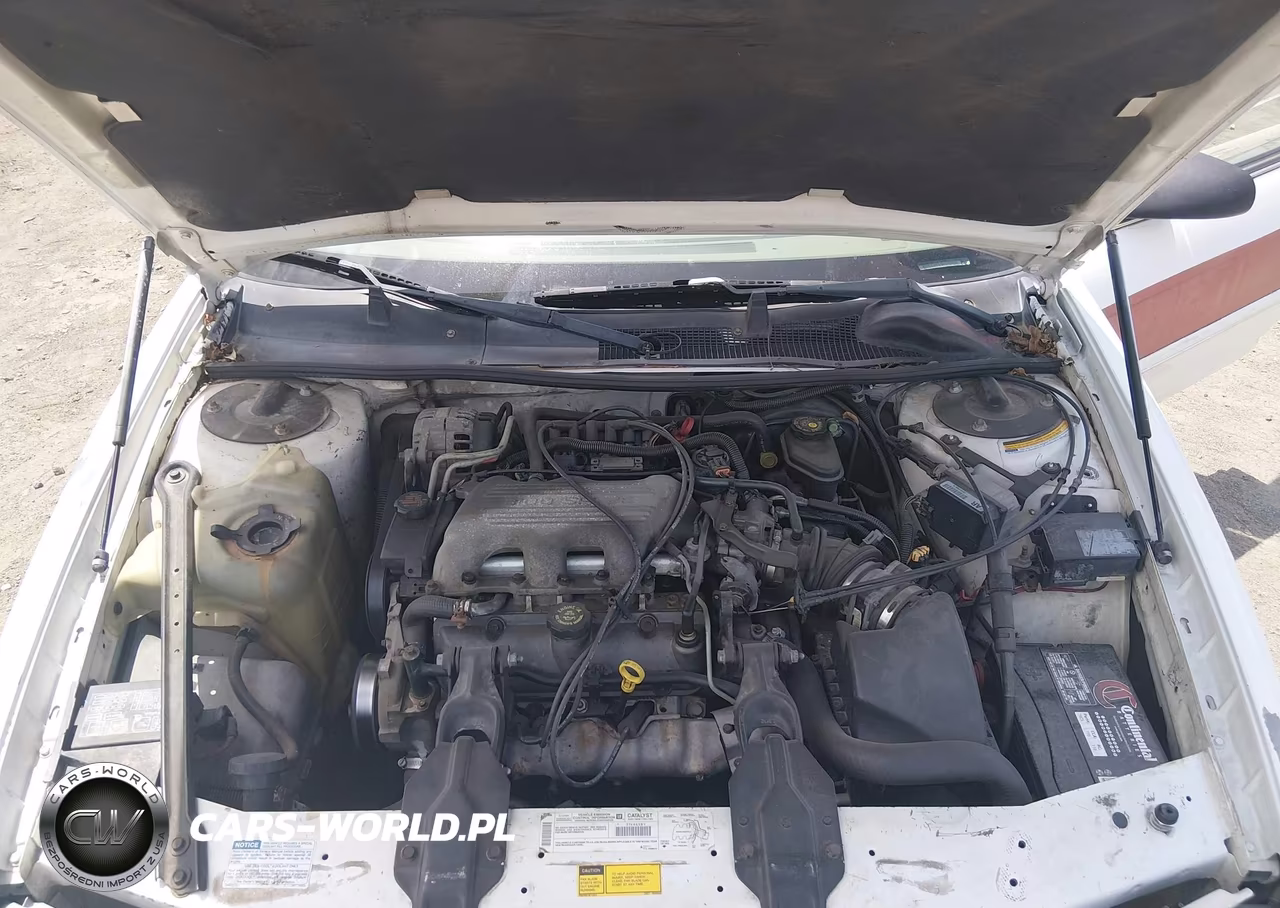 1998 Chevrolet Lumina VIN:2G1WL52M0W1103794 - 10