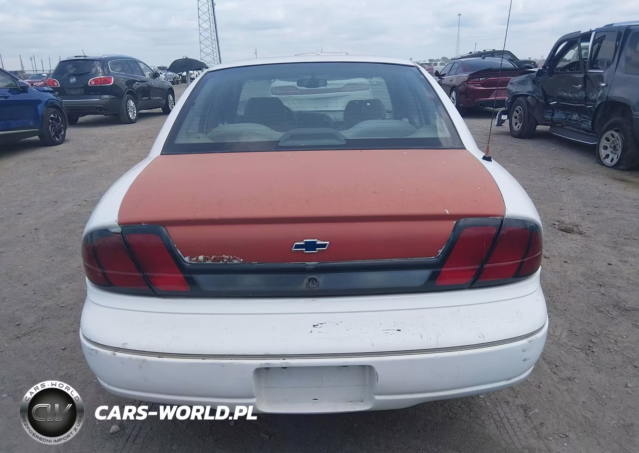 1998 Chevrolet Lumina VIN:2G1WL52M0W1103794 - 16
