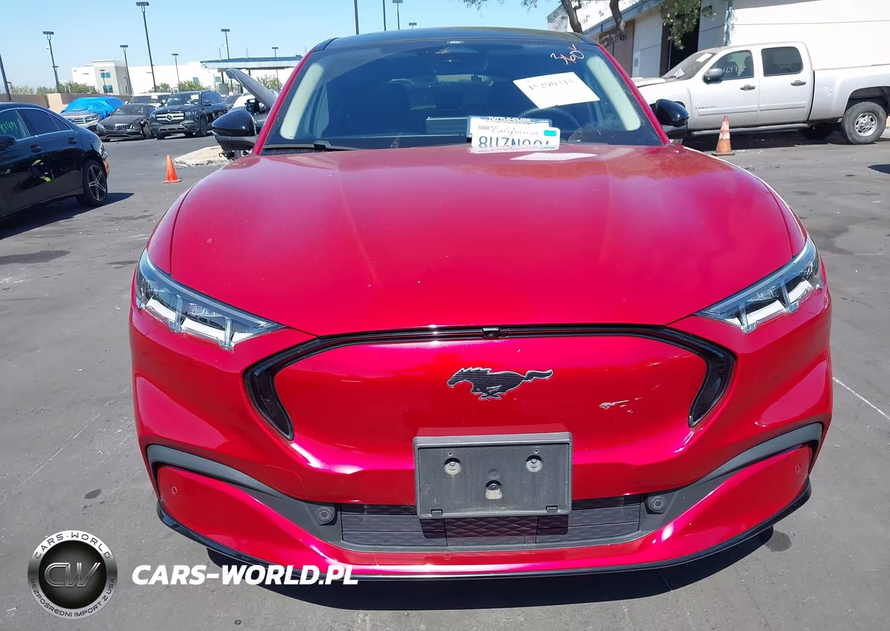 2021 Ford Mustang Mach-E Premium VIN:3FMTK3R78MMA17636 - 13