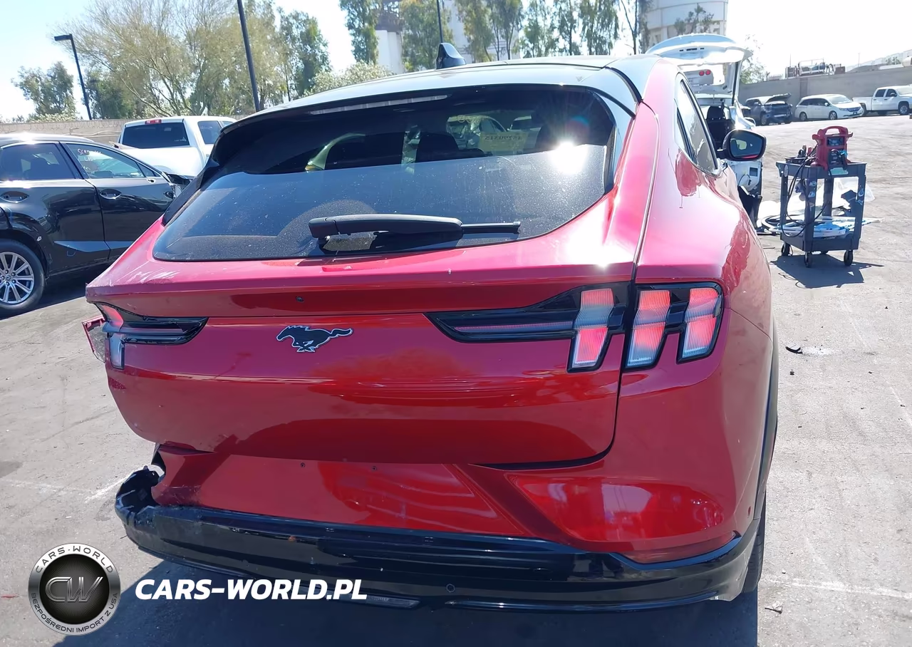 2021 Ford Mustang Mach-E Premium VIN:3FMTK3R78MMA17636 - 17