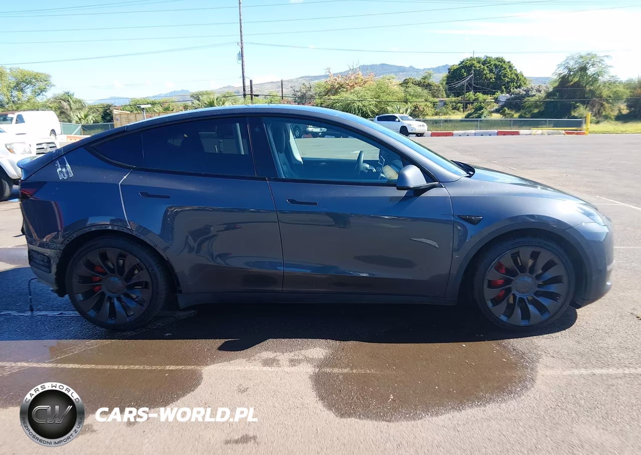 2022 Tesla Model Y Performance Dual Motor All-Wheel Drive VIN:7SAYGDEF8NF407739 - 14