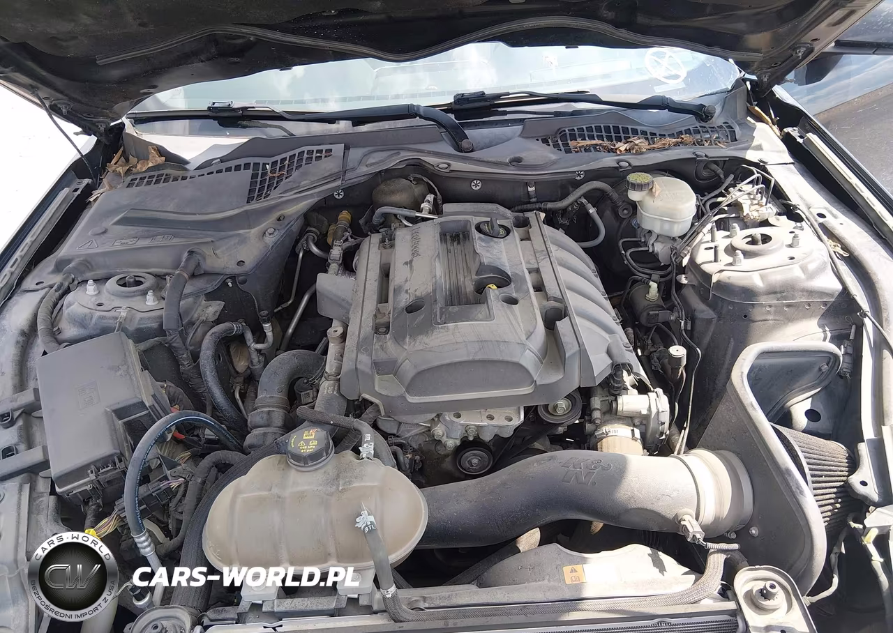 2015 Ford Mustang Ecoboost VIN:1FA6P8TH1F5306809 - 10
