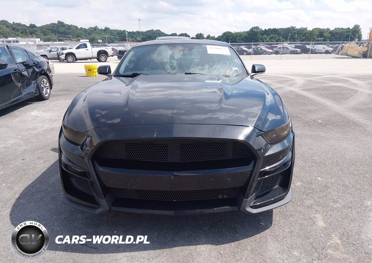 2015 Ford Mustang Ecoboost VIN:1FA6P8TH1F5306809 - 12