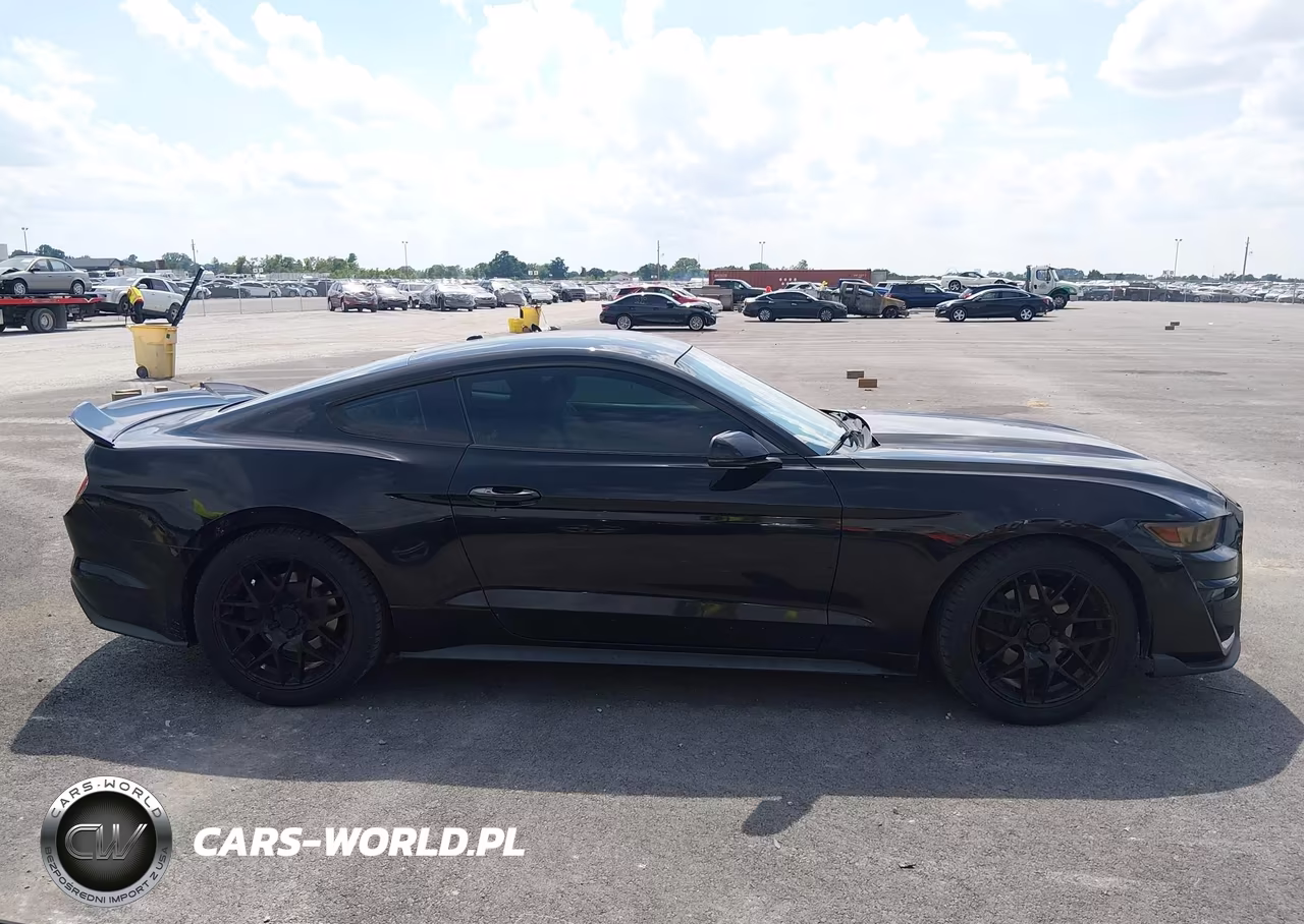 2015 Ford Mustang Ecoboost VIN:1FA6P8TH1F5306809 - 13