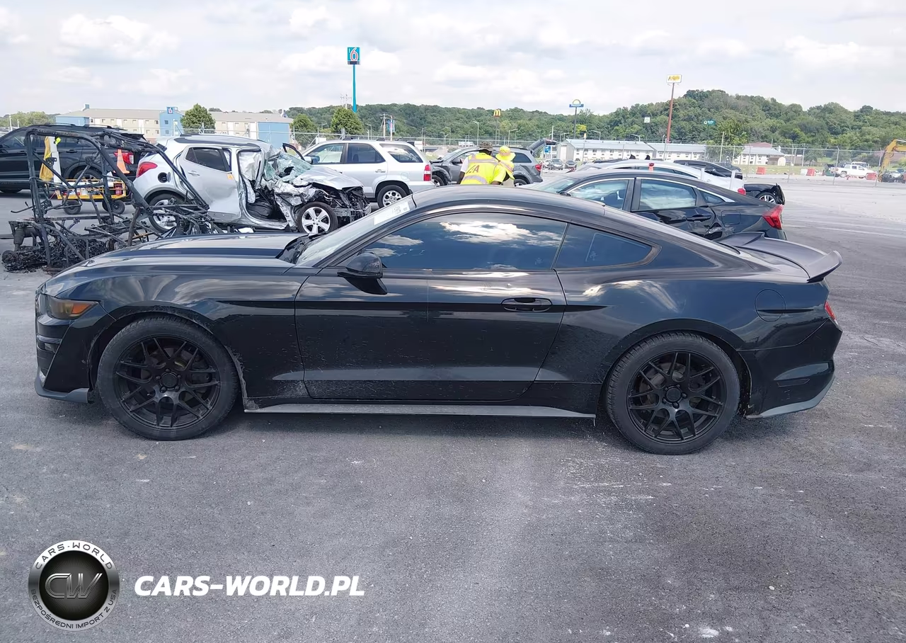 2015 Ford Mustang Ecoboost VIN:1FA6P8TH1F5306809 - 14