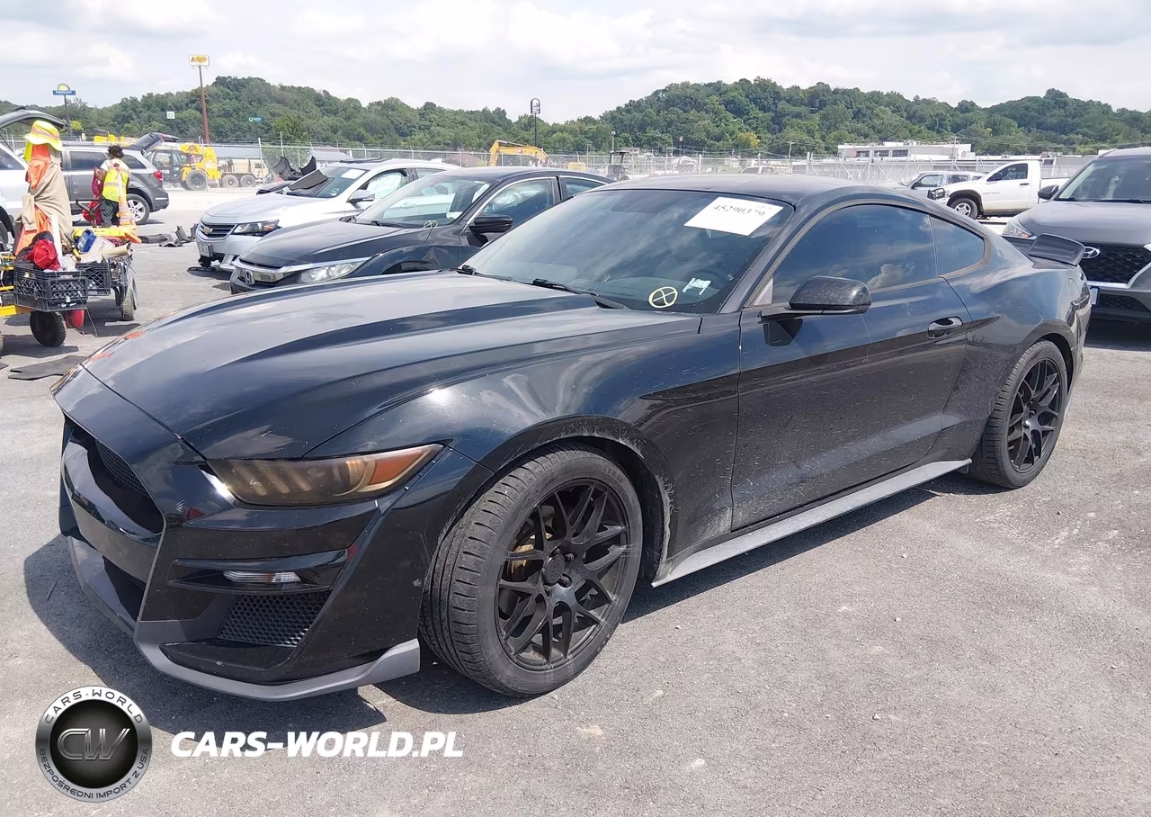 2015 Ford Mustang Ecoboost VIN:1FA6P8TH1F5306809 - 2