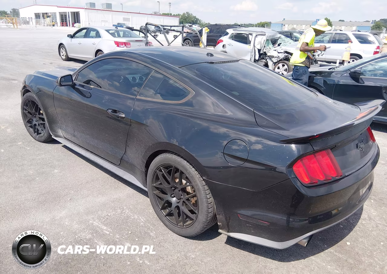 2015 Ford Mustang Ecoboost VIN:1FA6P8TH1F5306809 - 3