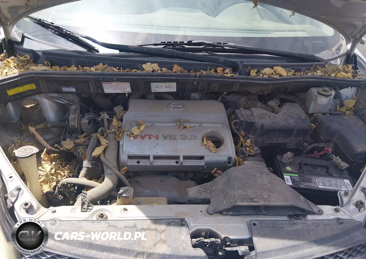 2004 Toyota Sienna Le VIN:5TDZA23CX4S033337 - 10
