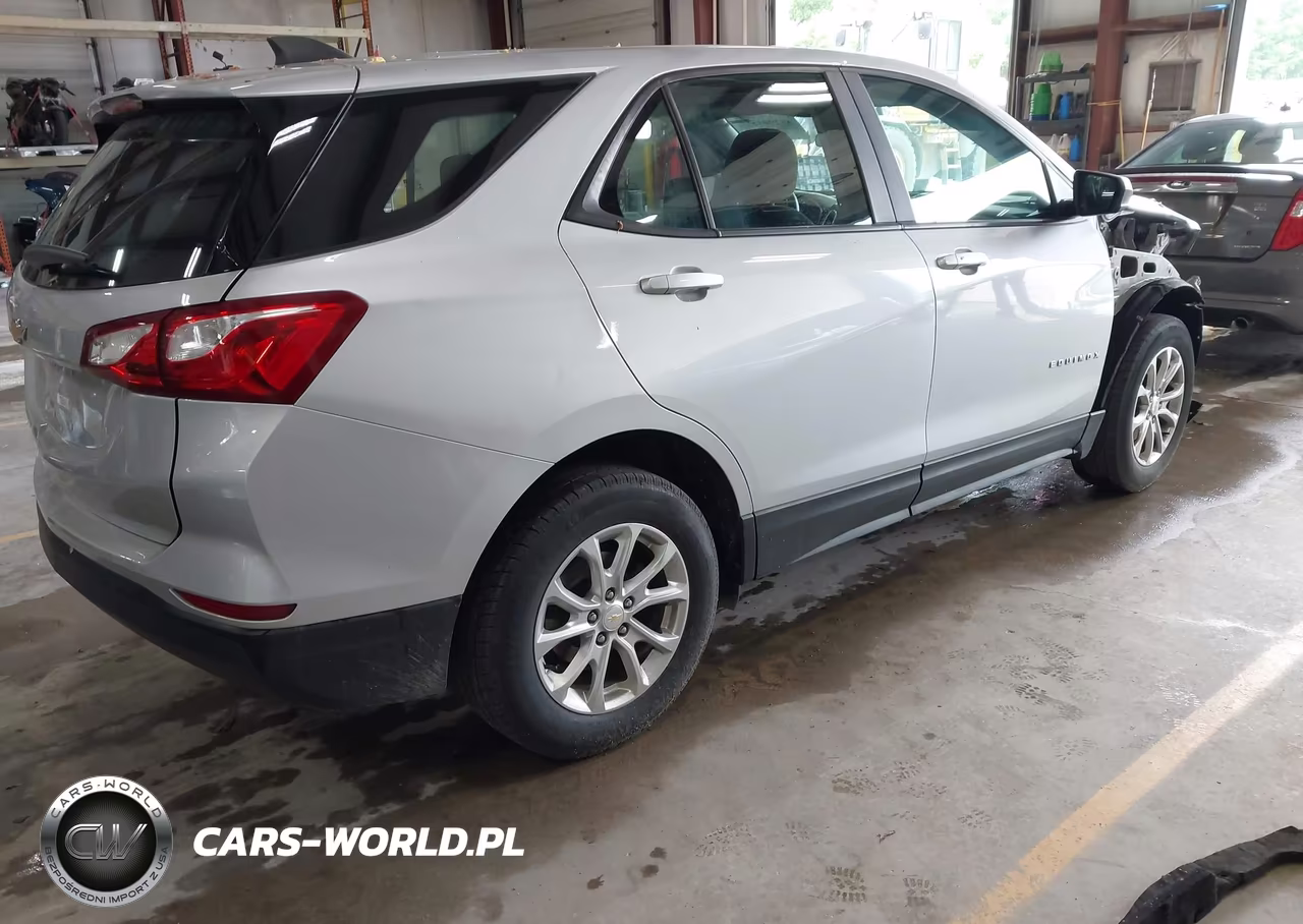 2020 Chevrolet Equinox Fwd Ls VIN:2GNAXHEV7L6243813 - 4