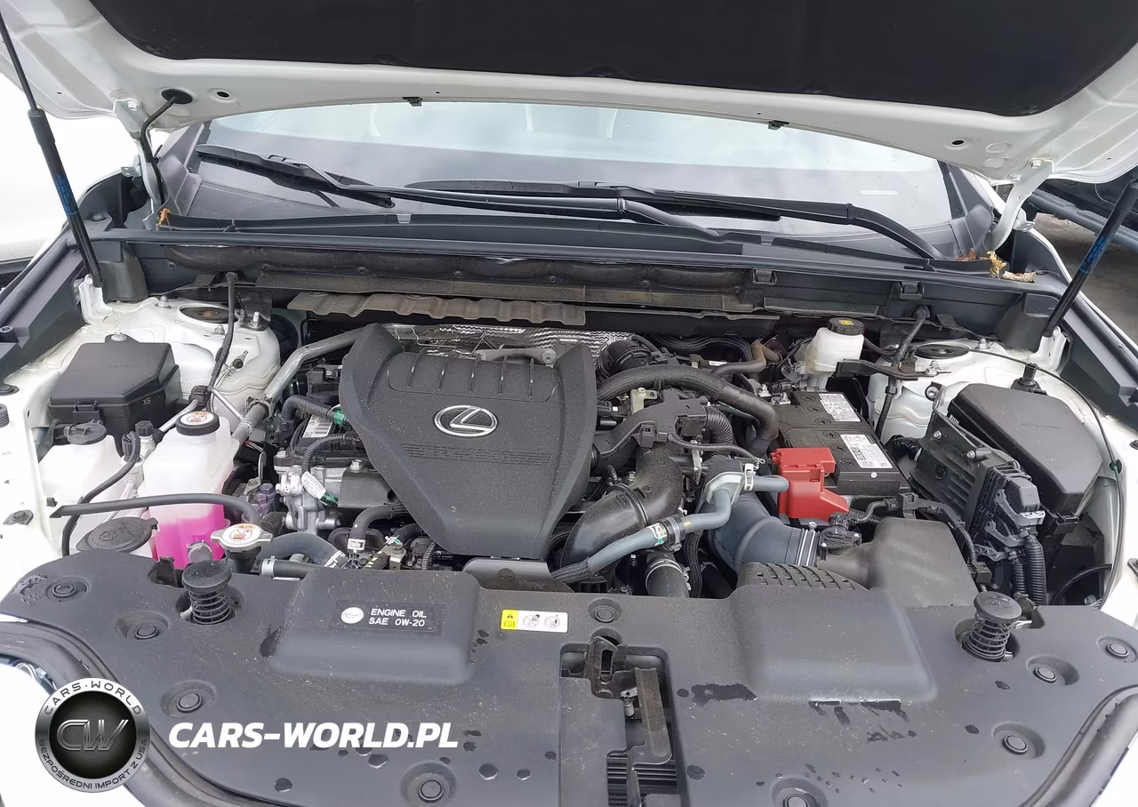 2022 Lexus Nx 350 Premium VIN:2T2GGCEZ4NC011417 - 10