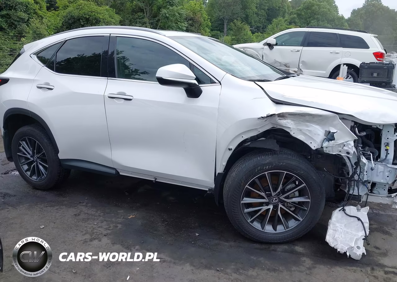 2022 Lexus Nx 350 Premium VIN:2T2GGCEZ4NC011417 - 14