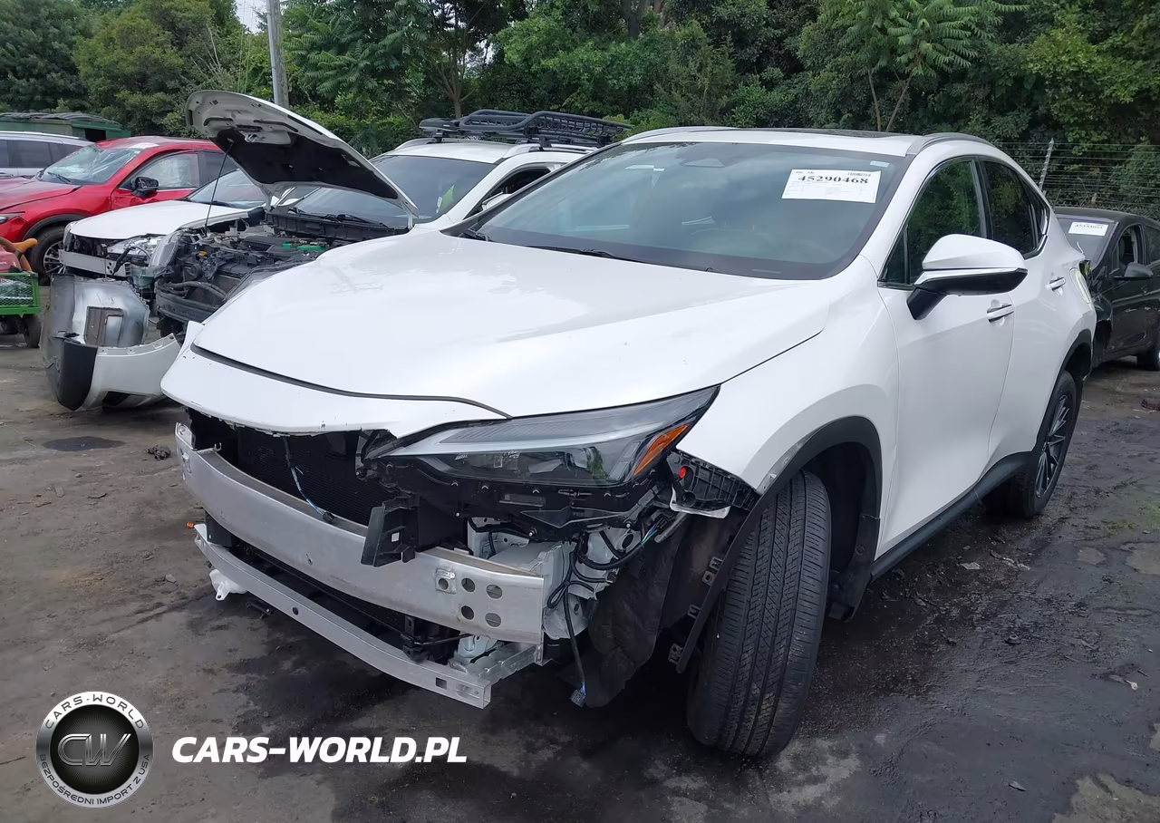 2022 Lexus Nx 350 Premium VIN:2T2GGCEZ4NC011417 - 2